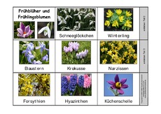 Leporello-Frühblüher-Frühlingsblumen-1.pdf